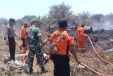 Dua hektare kebun kelapa sawit di Agam terbakar