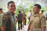 Buaya besar masuk ke permukiman terkam babi