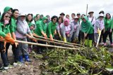 200 anggota Persit ikut bersihkan eceng gondok  Danau Tondano