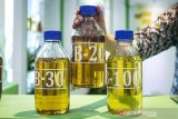 Kementerian ESDM tetapkan tambahan alokasi biodiesel jadi 9.413.033 kiloliter untuk 2021