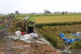 Empat buruh tani tewas tersambar petir di Karanganyar Demak