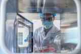 China membantah virus corona berasal dari lab di Wuhan, merujuk WHO