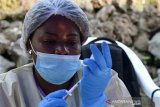 Sebelas dari 17 pasien kasus wabah Ebola di Kongo meninggal