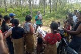 Orang Rimba Jambi terima manfaat program ketahanan pangan yang disalurkan PT SAL