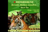 Taman Margasatwa Ragunan kembali suguhkan wisata virtual lewat medsos