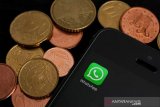 Brazil izinkan WhatsApp luncurkan fitur transfer uang