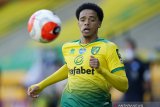 Liverpool bidik bek Norwich Jamal Lewis