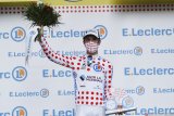 Klasemen sementara Tour de France setelah etape ke-14