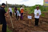 Petani Gunung Kidul diimbau bersiap memasuki masa tanam padi