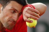 Ketika Djokovic akui Nadal memang fenomenal