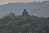 Melalui virtual tur, PT TWC-KBRI Tokyo promosikan Candi Borobudur