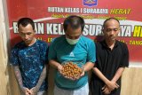 Penyeludupan pil koplo dalam bumbu pecel digagalkan petugas Rutan Medaeng Surabaya