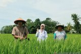 Beasiswa Bidikmisi antar anak petani ini jadi calon dokter