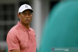 Tiger Woods dipindahkan ke rumah sakit lain untuk jalani pemulihan