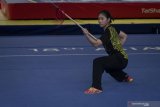 Menpora mendukung wushu dipertandingkan di Olimpiade