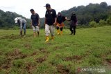 Dengan cara ini, BKSDA Sumbar mengusir harimau pemangsa ternak warga Agam