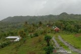 Bantul kembangkan Bukit Dermo Nawungan jadi kawasan agrowisata