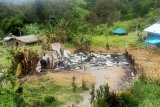 KKB kembali berulah, rumah kepala suku dan guru di Beoga Papua dibakar