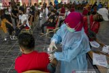 Dinkes Sulteng: 83.338 orang  telah mengikuti vaksinasi COVID-19