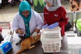 Yogyakarta menyiapkan 2.600 dosis vaksin untuk program vaksinasi rabies