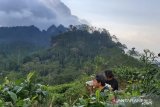 Dispar Kulon Progo mengembangkan KSPD Kiskendo dan Menoreh