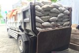 Balai Gakkum panggil pemilik truk pengangkut material dari PETI diTNLL