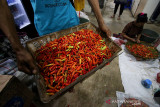 Pasokan normal, harga cabai rawit merah turun Rp70 ribu/Kg