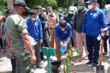 Sulteng optimalkan pengelolaan hutan  untuk kesejahteraan rakyat