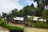 Ratusan rumah di Nias terendam banjir