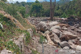 Puluhan hektare lahan sawah di Beloto, Flores Timur terancam gagal tanam