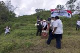 BKSDA Yogyakarta melepasliarkan elang jambul di Gunungkelir