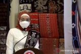 Ketua Umum Dekranas: Potensi tenun NTT harus dimaksimalkan