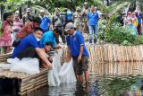 10 ribu bibit nila dilepaskan di kolam objek wisata mangrove Apar Pariaman