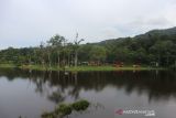 Ini wajah baru wisata Danau Tambing di Taman Nasional Lore Lindu