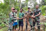 Warga perbatasan RI-PNG panen singkong