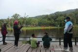 Mengenal jalur pengamatan burung endemik  di Taman Nasional Lore Lindu