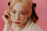 Agensi ambil jalur hukum atas unggahan jahat terkait Taeyeon SNSD