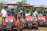 65 desa di Sumba Tengah jadi lokasi lumbung pangan