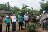 Matim dukung petani kopi lewat gerakan tanam kopi arabika