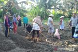 Yayasan Care Peduli kerja sama  berdayakan lima desa di Donggala