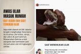 Kiat cegah dan saat temukan ular di rumah