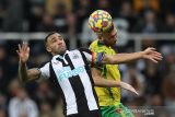 Laga Newcastle versus Norwich berakhir 1-1