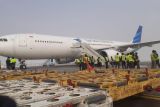 Garuda terbangkan dua armada airbus kirim bantuan kemanusiaan Pemerintah RI ke Afghanistan