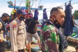 Polisi sebut empat lumba-lumba masih hidup dan dilepas ke laut