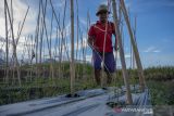 Petani Kesulitan Dapatkan Pupuk