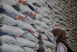 Demurrage, Pengamat harap adanya pembenahan struktural agar harga beras tetap stabil