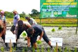 Bupati Endi dorong penyuluh pertanian inovasi tangani pupuk