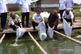 Menteri Kelautan dan Perikanan kunjungi Kampung Lele Boyolali