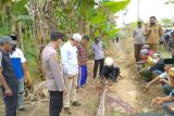 Seorang nenek tewas dililit ular piton di Muara Sabak Jambi