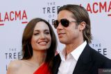 Brad Pitt diduga mencekik anaknya saat bertengkar dengan Jolie